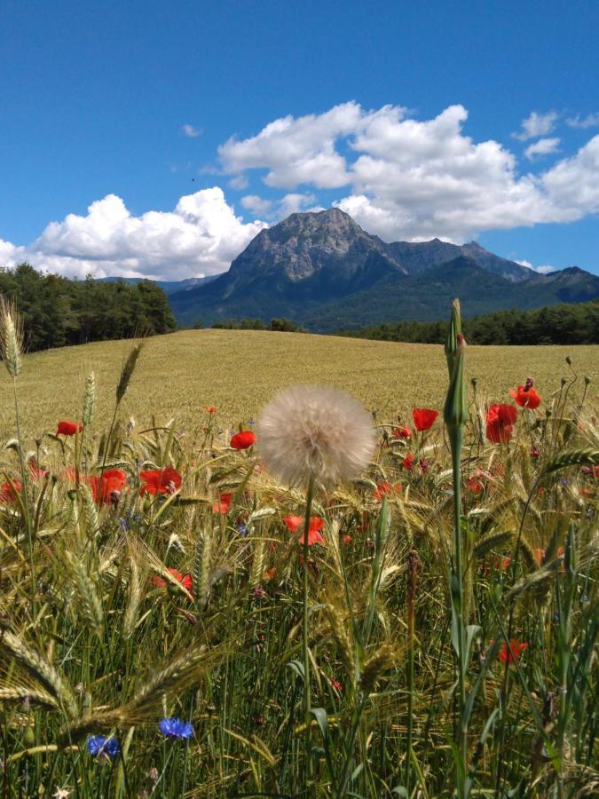 Greselin Lägenhet Chorges Exteriör bild
